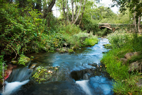 Picturesque landscape with small creek in forest