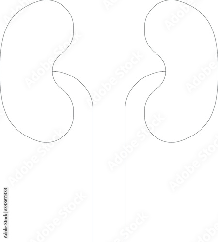 urology 
