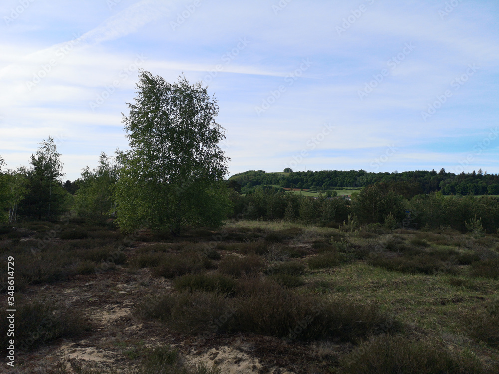 Obraz premium Landschaft