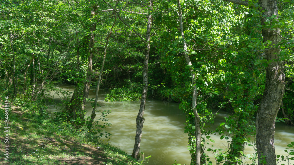 Obraz premium River in the forest. Imereti region. Georgia country
