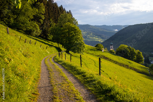 Talweg_Münstertal_2286