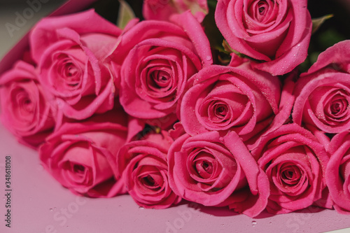 bouquet of pink roses with water droplets