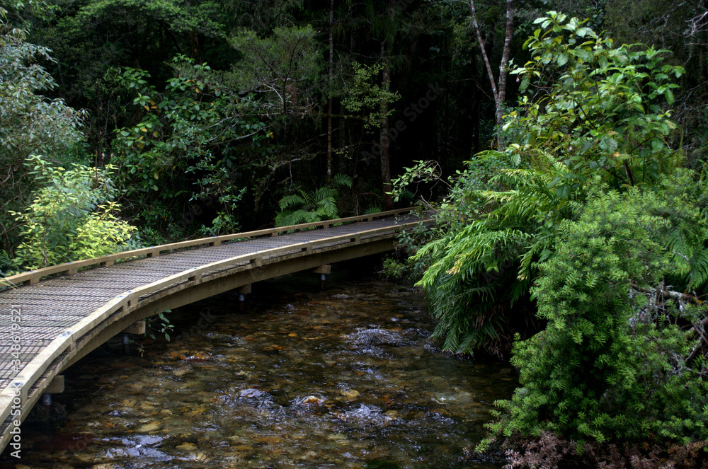 Fototapeta premium Wooden walkway in the forest