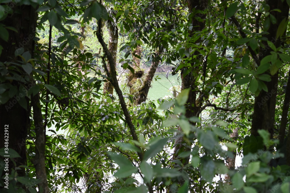 Fototapeta premium naturaleza
