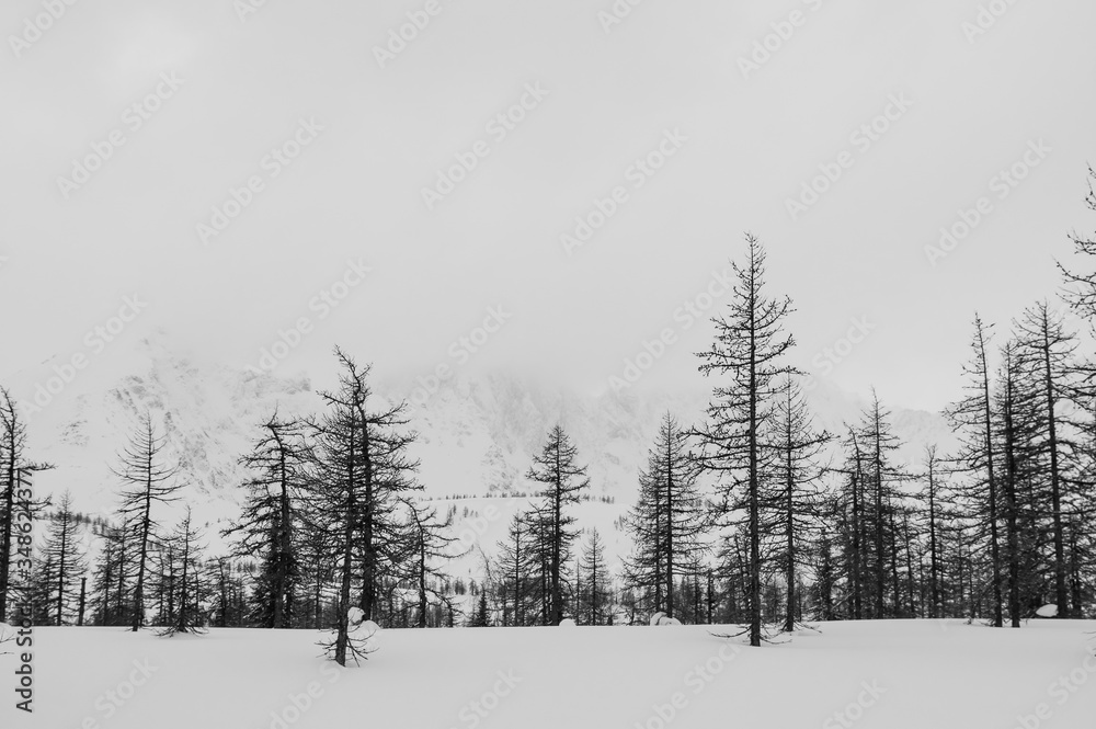 Winter hike in the Ural mountains. The beauty of the mountains. Winter hike in the Ural mountains. The beauty of the mountains.