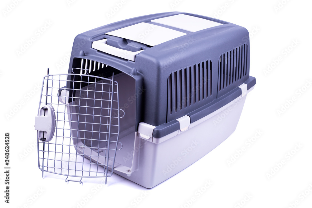 Pet carrier for traveling isolated close up