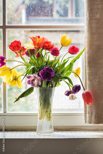 Multicolored tulips in a vase, window on the background
