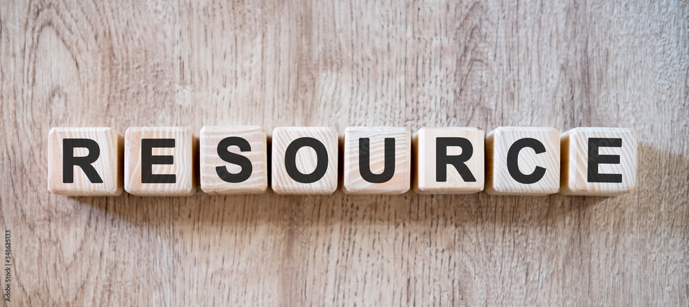 Fototapeta premium Web resource websites - text on small wooden cubes on a natural table