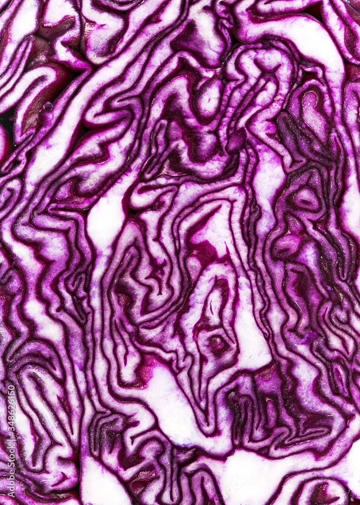Macro details of half raw red cabbage in violet and white colors. Abstract nature background. Flat lay. Macro details of half raw red cabbage in violet and white colors. Abstract nature background. Flat lay.