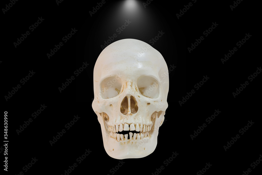 Skull of dark.