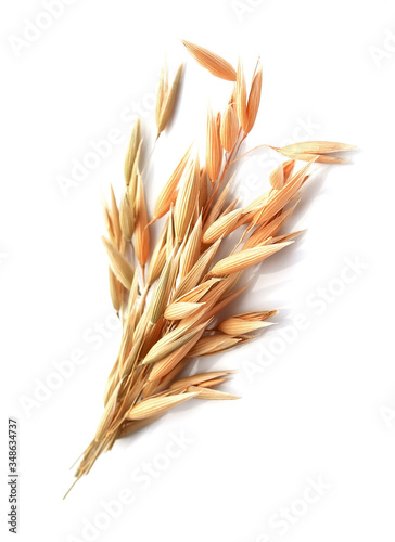 Oat isolated on white