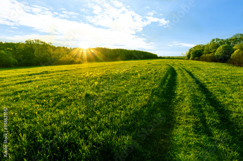 beautiful spring sunset in a green shiny field with green grass and golden sun rays, deep blue cloudy sky , trees and