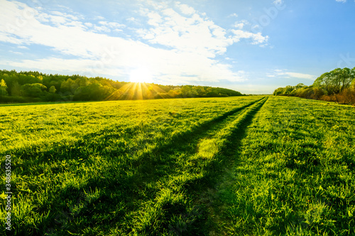beautiful spring sunset in a green shiny field with green grass and golden sun rays, deep blue cloudy sky , trees and