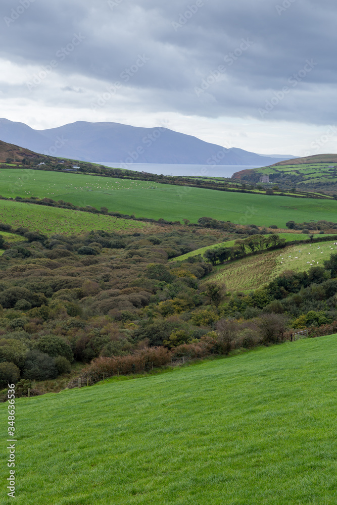 A green meadow in Ireland