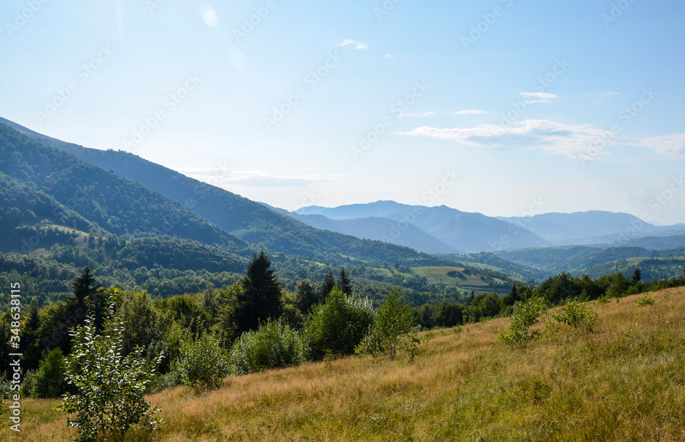 Picturesque mountain valley with hills forest and fresh grass. Summer landscape in Carpathian mountains, Ukraine
