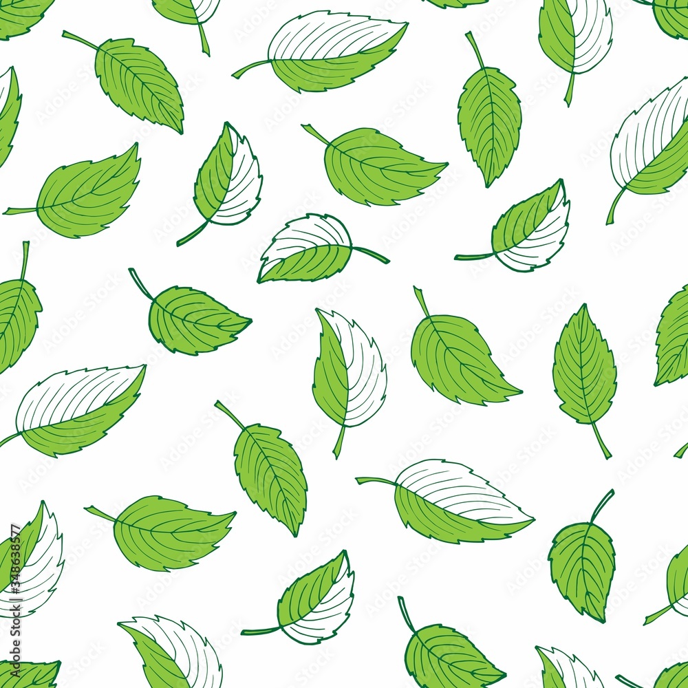Green and white seamless pattern with leaves. Doodle garden print. Hand drawn nature ornament for fabric, wrapping, wallpaper, textile, package, covers. Spring and summer pattern.