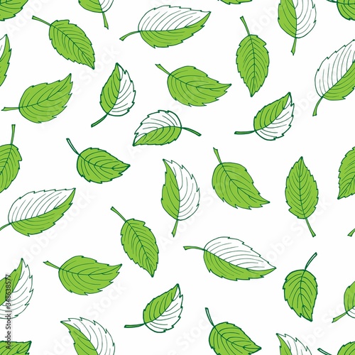 Green and white seamless pattern with leaves. Doodle garden print. Hand drawn nature ornament for fabric  wrapping  wallpaper  textile  package  covers. Spring and summer pattern.
