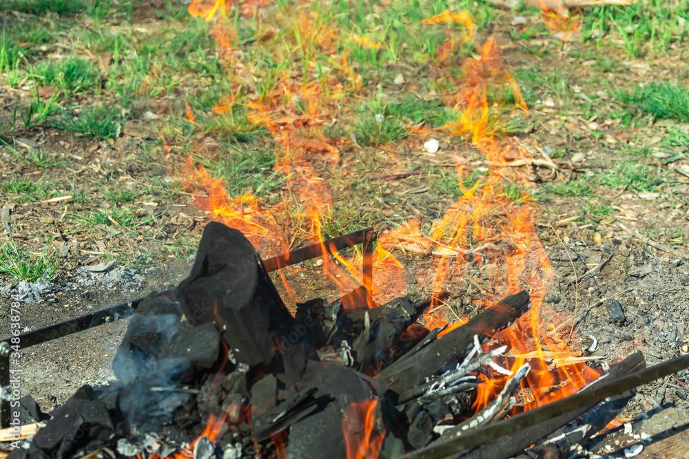 Bonfire. Among the green grass, a bonfire is prepared for grilling. Brightly orange flame of fire over a bonfire in nature. Bonfire coals for barbecue on a picnic. Bonfire. Among the green grass, a bonfire is prepared for grilling. Brightly orange flame of fire over a bonfire in nature. Bonfire coals for barbecue on a picnic.