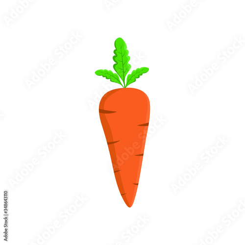 Carrot icon, on the white background. Flat design.