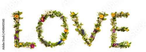 Flower, Branches And Blossom Letter Building English Word Love. White Isolated Background