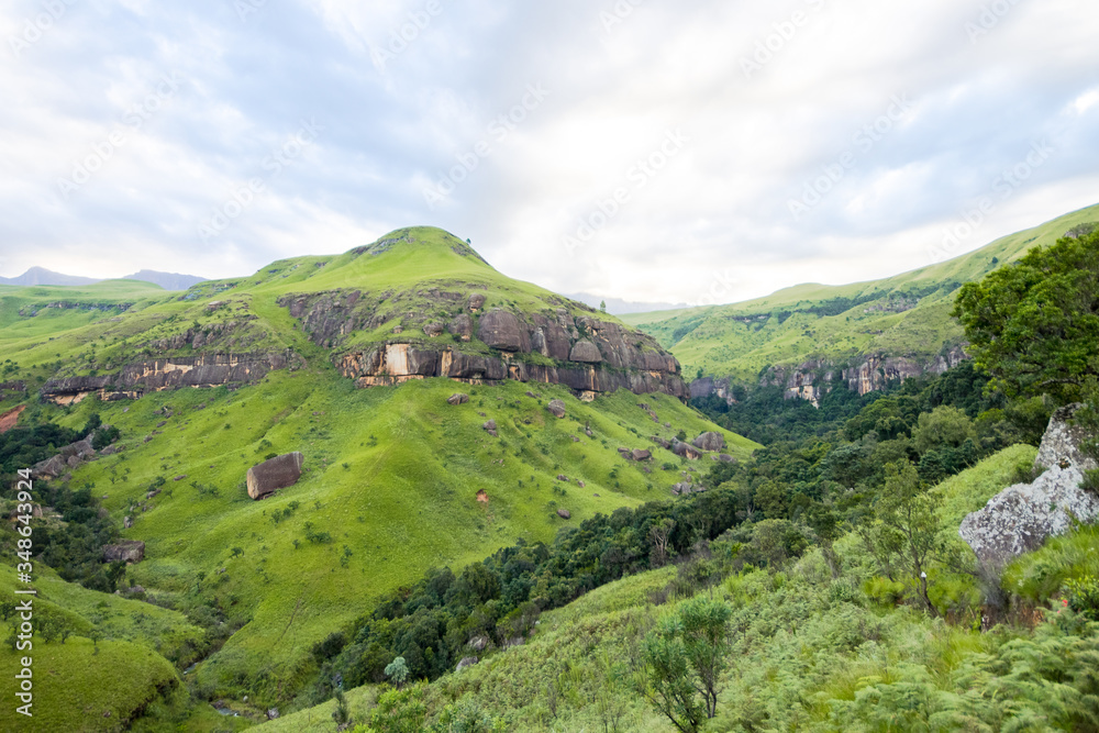 Fototapeta premium Südafrika, KwaZulu-Natal, Giants Castle Game Reserve, auf Wanderung zur Regenbogen Grotte in den Drakensbergen, Bewaldetes und bewachsenes Berggebiet