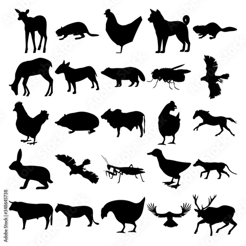 Set of 25 animals. Elk, Beaver, Chicken, Dog, Deer, Bullterrier, Racoon Dog, Housefly, Goshawk, Hedgehog, Bull, Horse, Rabbit, Praying Mantis, Duck, Thylacine, Lion, Raven, Deer.