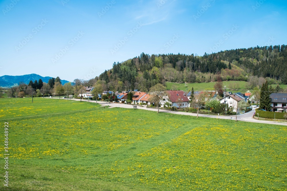 A quiet row of houses next to a hill and meadows in Black forest, Germany