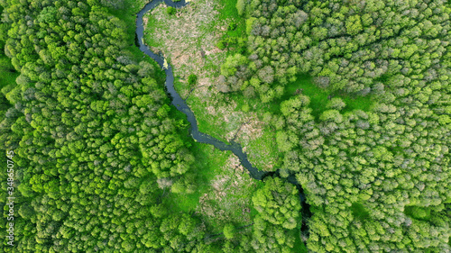 Aerial. River in the forest. View above.