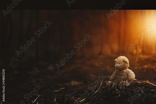 Fotografie Lonely teddy bear in the  burnt forest
