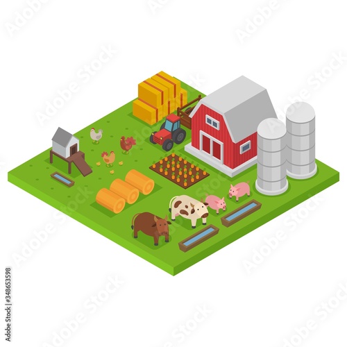 farm with animals, colorful isometry, isometric agriculture concept, natural habitat, design, cartoon style vector illustration. Landscape outdoors, livestock on green grass, hens cows and pigs.