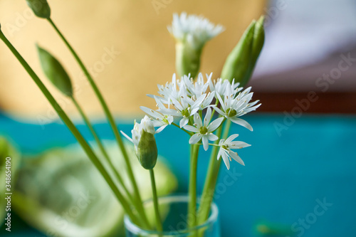 Close-up fragile white ramson flowers in wineglass on kitchen background  selective focus