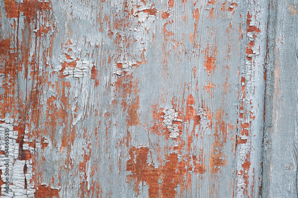 Gray peeling paint on a wooden surface. The texture of cracked paint on the doors close-up. Background of a wooden old board. Gray peeling paint on a wooden surface. The texture of cracked paint on the doors close-up. Background of a wooden old board.