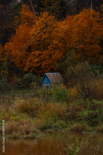 autumn landscape