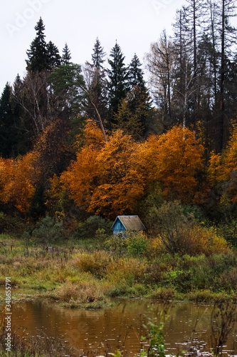 autumn landscape