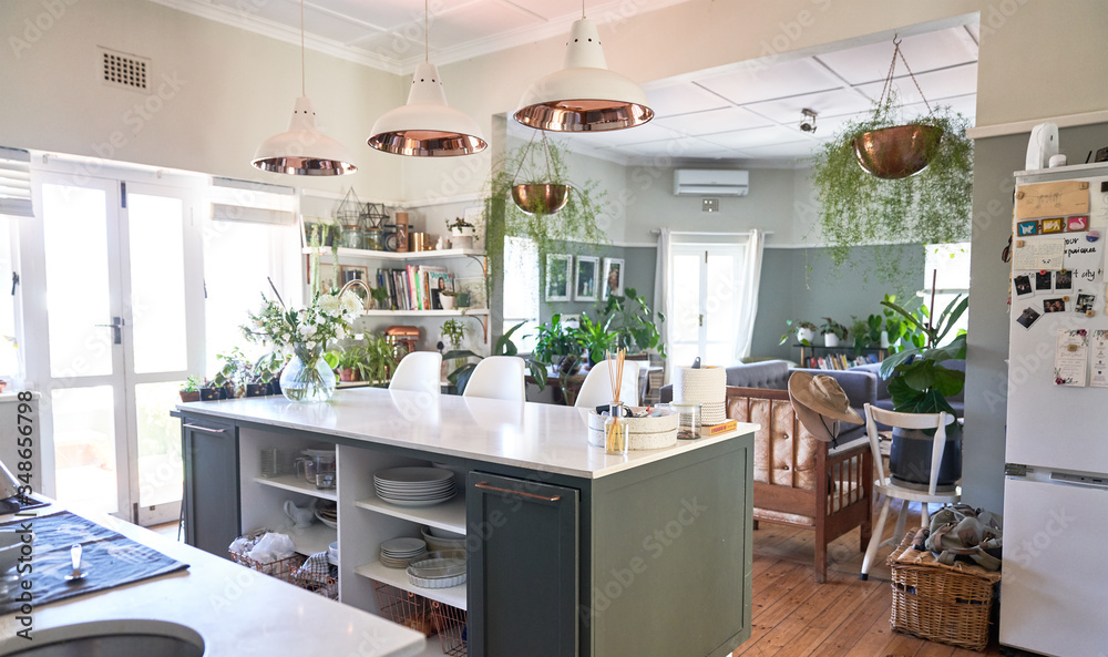 Domestic kitchen with kitchen island and hanging plants Domestic kitchen with kitchen island and hanging plants
