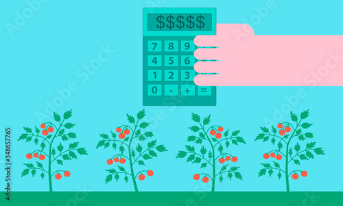 The concept of profit in agriculture. Landscape with organic ripe tomatoes in the garden. Flat design. Vector illustration