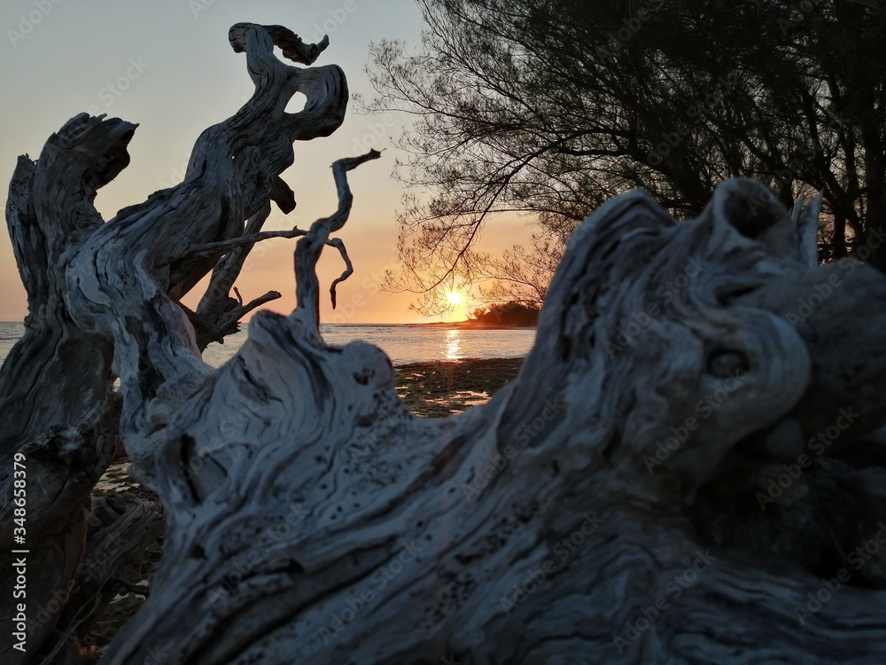 Fototapeta premium Atardecer 