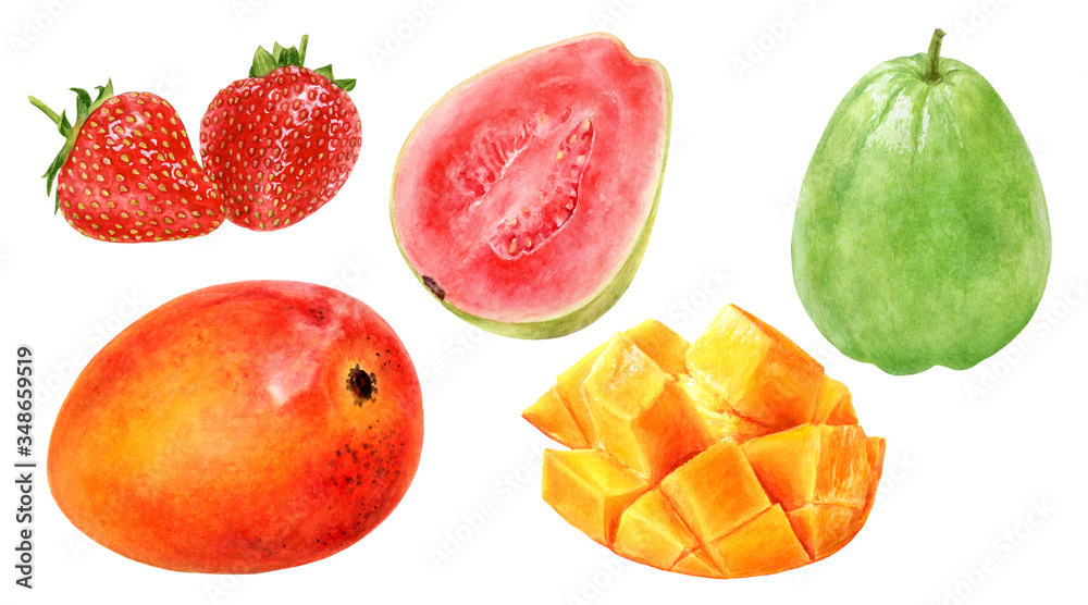 Guava mango strawberry watercolor illustration isolated on white background