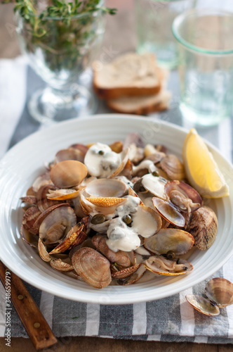 Steamed Clams or Shellfish with Cream Sauce