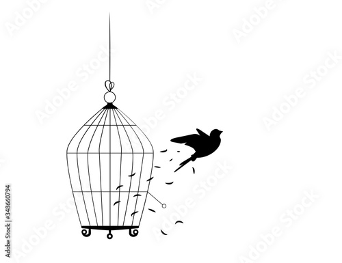 Fototapeta Bird flying from the cage, flying bird silhouette, cage illustration, freedom concept, wall decals, wall artwork, poster design isolated on white background