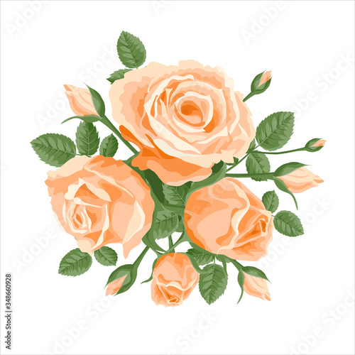 A bouquet of pink ivory roses. Vector decoration, illustration with roses and leaves. For postcards, wedding invitations, textiles. Elegant bunch of coral roses in a retro, Victorian style.