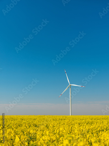 Alone wind turbine in rapeseed field under blue sky in vertical frame with copy space