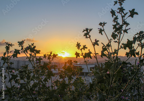 sunset over the hill