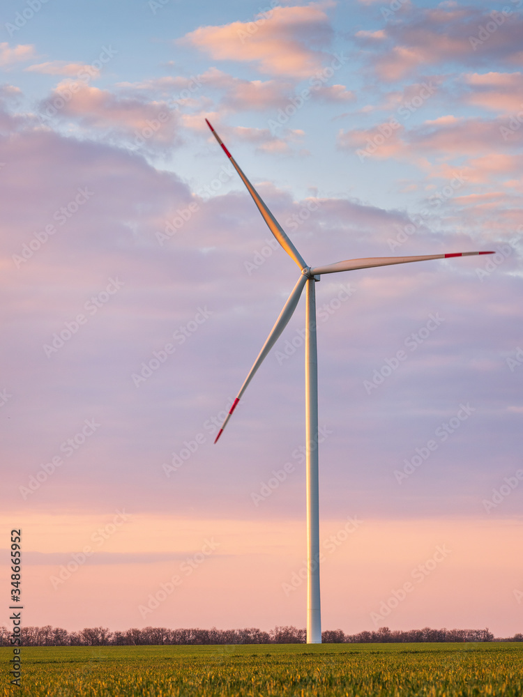 alone wind turbine in pink light of sunrise in field with copy space in the sky