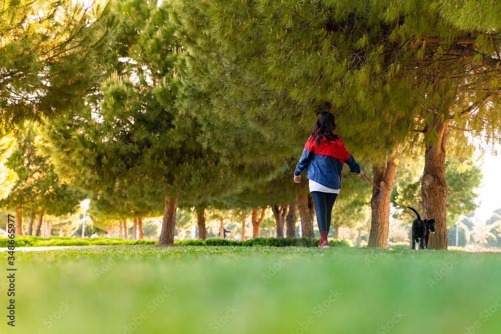 woman wearing a protective mask is walking alone with a dog outdoors because of the corona virus pandemic covid-19 woman wearing a protective mask is walking alone with a dog outdoors because of the corona virus pandemic covid-19