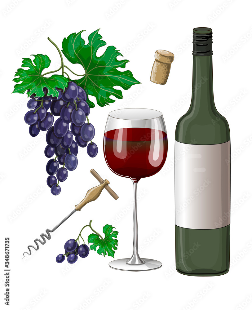 Obraz premium Stock vector illustration. Set. Drawn 2 clusters of blue grapes, a bottle and a glass of red wine, a corkscrew and a cork from wine. Illustration isolated on white background