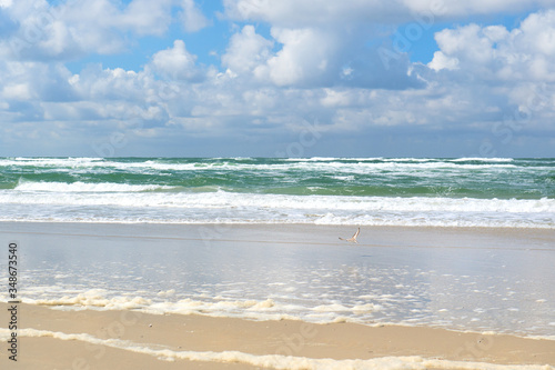 Landscape empty beach