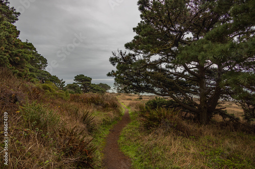 Path along the California coastline