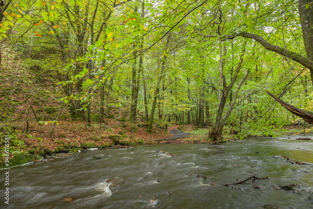 Stormy river flowing through the spring forest.selective focus, long exposure. Stormy river flowing through the spring forest.selective focus, long exposure.