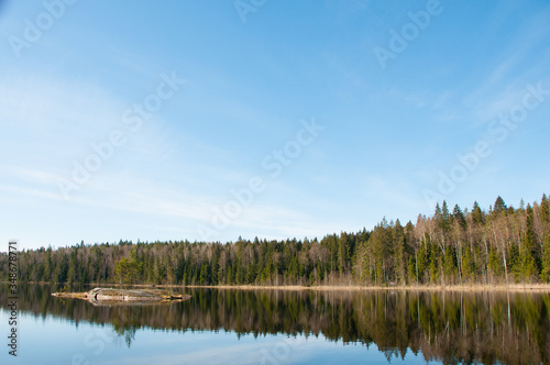 Island in the lake. Trees reflected in the calm waters of a forest lake. Wild nature. Natural background. Blue sky over forest and lake. 